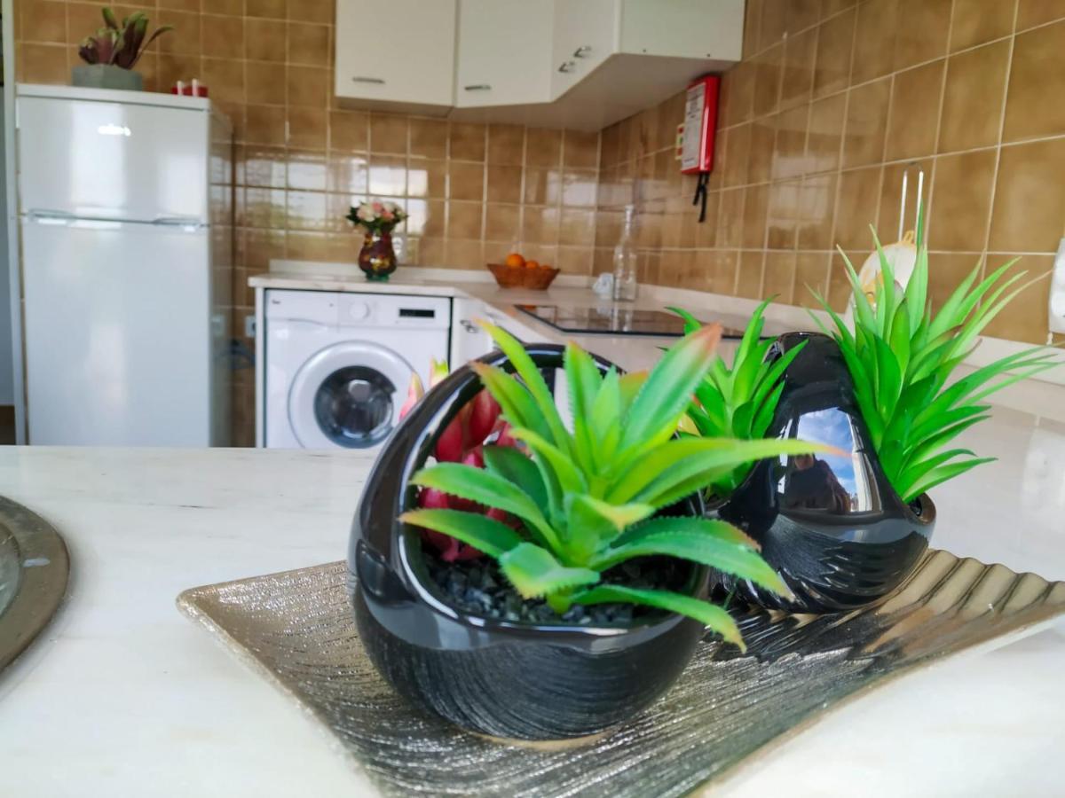 ホテル Casa Vaz Grândola エクステリア 写真
